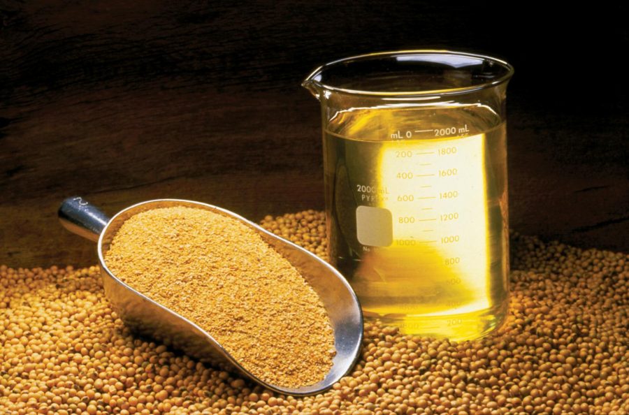 Soybeans Meal - Image 4